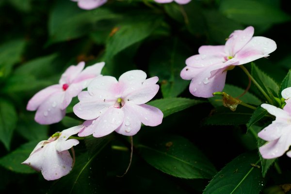 Services durables et efficaces pour un assainissement optimal