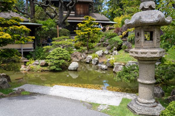 Comment créer un jardin zen pour cultiver la sérénité chez soi