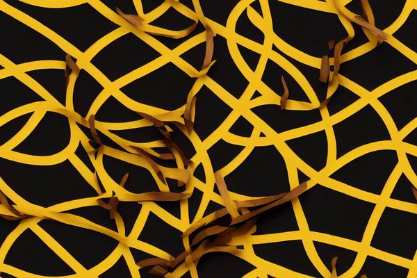 Cuisine mexicaine authentique : Histoire, saveurs et recettes traditionnelles