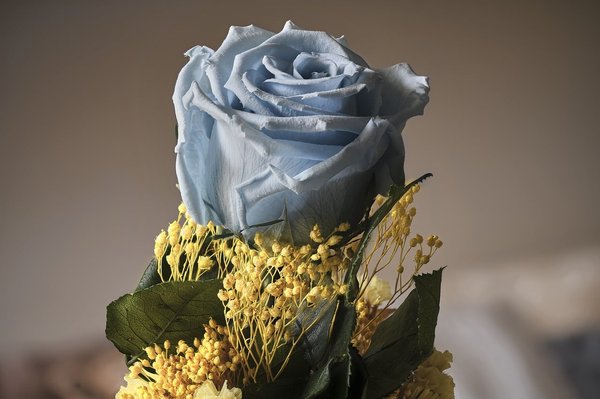 Comment se sentir bien chez soi avec des plantes artificielles ?