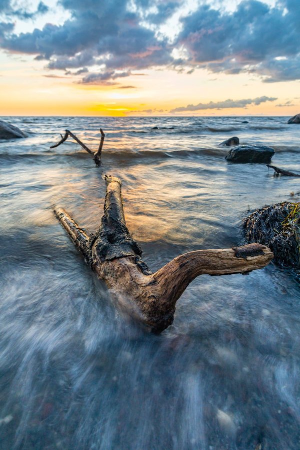 Focus sur les différents types de poêles à granulés